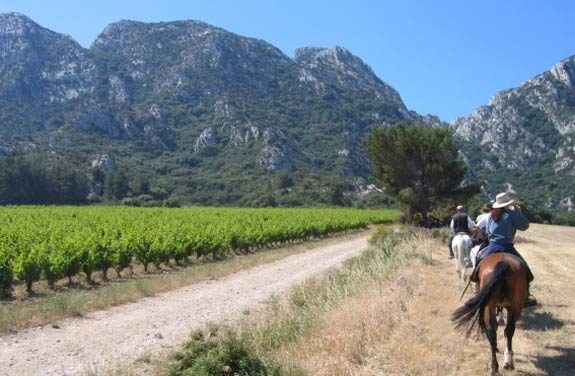 Randonnée à cheval Luberon Alpilles Camargue | Destinations Cheval