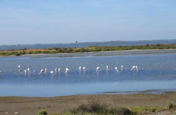 Randonnée à cheval Luberon Alpilles Camargue | Destinations Cheval