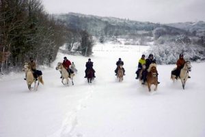 Randonnée à cheval dans la neige, le Jura