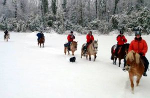 randonnee cheval neige jura | destinations cheval