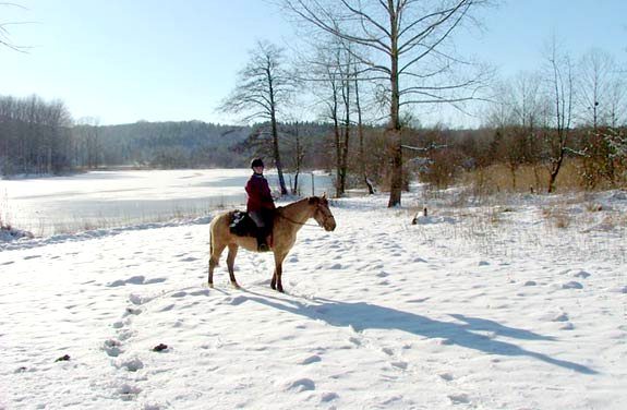 randonnee cheval neige jura | destinations cheval