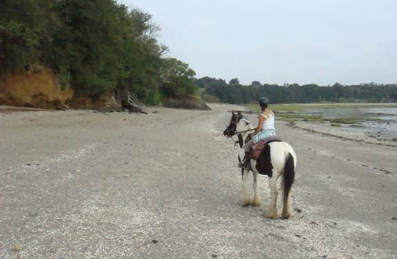 randonnee cheval pointe du grouin mont saint michel | Destinations Cheval