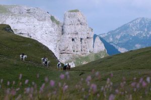 Randonnée à cheval, les plateaux du Vercors