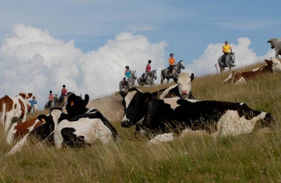 randonnee cheval vercors | Destinations Cheval