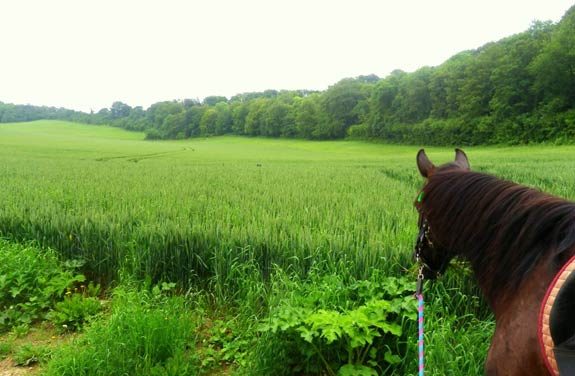 randonnee cheval vexin