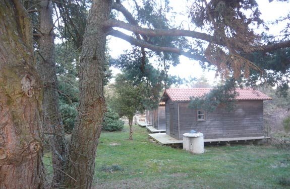 randonnée équestre en Lozère