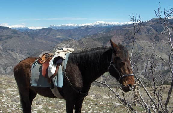 randonne equestre massif monges | destinations cheval