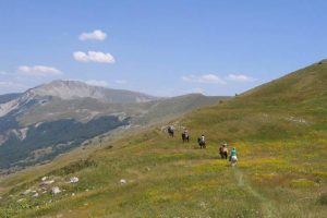 Randonnée équestre le massif des Monges