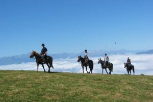 Randonnée équestre, les Pyrénées à perte de vue