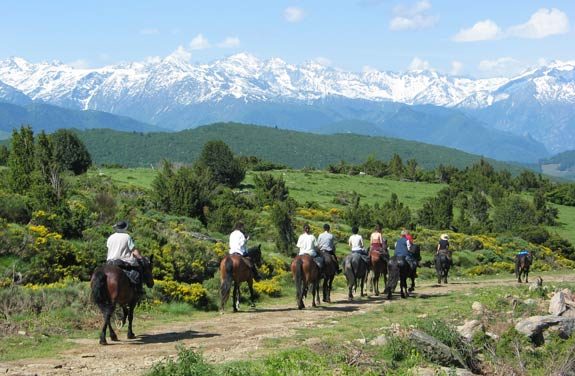 Randonnée équestre, les Pyrénées à perte de vue | Destinations cheval