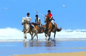 randonnee cheval dans les landes | destinations cheval