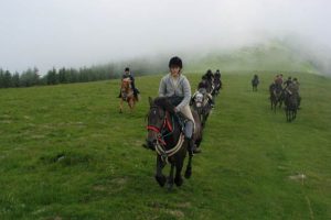 Stage equitation ado et randonnée dans les Pyrénées 13-17 ans