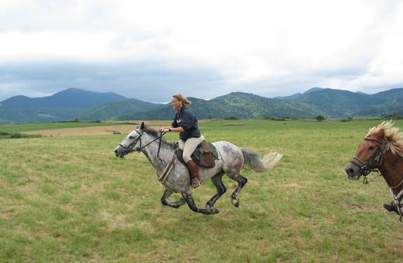 Randonnée équestre, les Pyrénées à perte de vue | Destinations cheval