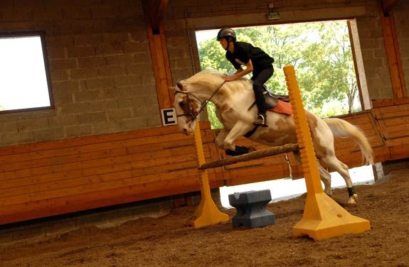 stage equitation ado vercors | destinations cheval