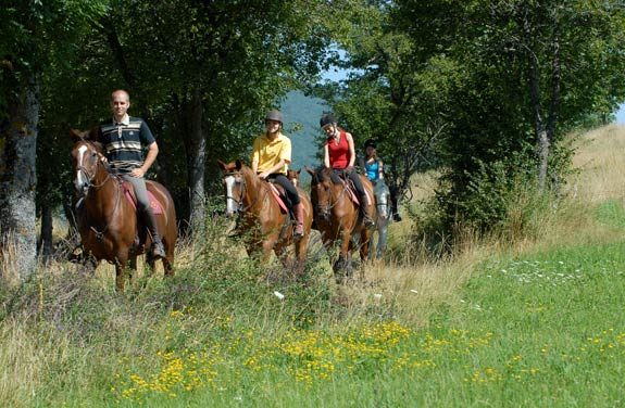 stage equitation ado vercors | destinations cheval