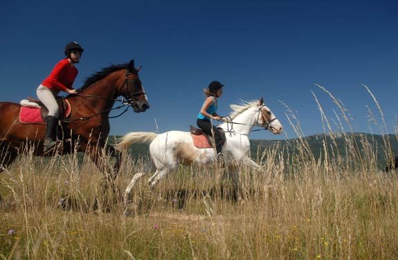 stage equitation ado vercors | destinations cheval