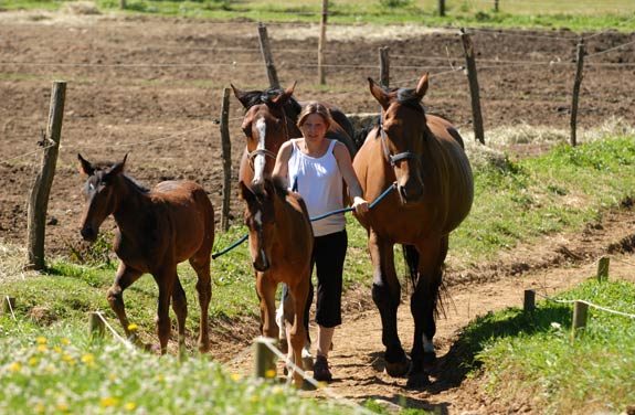 stage equitation ado vercors | destinations cheval