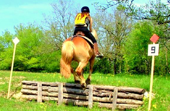 stage equitation trec | Destinations Cheval