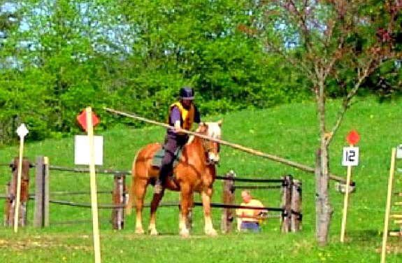 stage equitation trec | Destinations Cheval