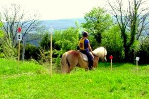 Stage d’équitation TREC dans le Jura