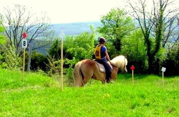 stage equitation trec | Destinations Cheval