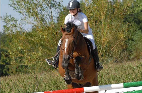 stage perfectionnement equitation yonne | Destinations Cheval