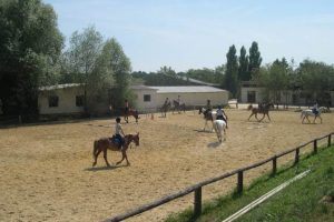 Stage d’équitation ado dans l’Yonne de 10-17 ans