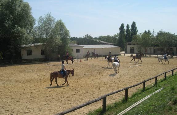 stage perfectionnement equitation yonne | Destinations Cheval
