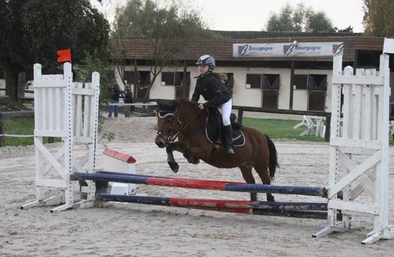 stage poney yonne | Destinations Cheval