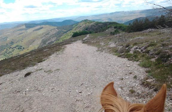 voyage cheval cevennes | Destinations Cheval