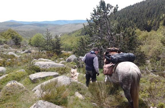 voyage cheval cevennes | Destinations Cheval