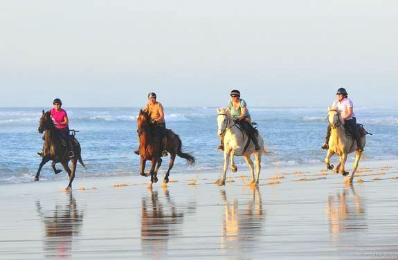 week end equestre dans les landes | Destinations Cheval