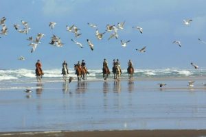 Week end equestre dans les Landes