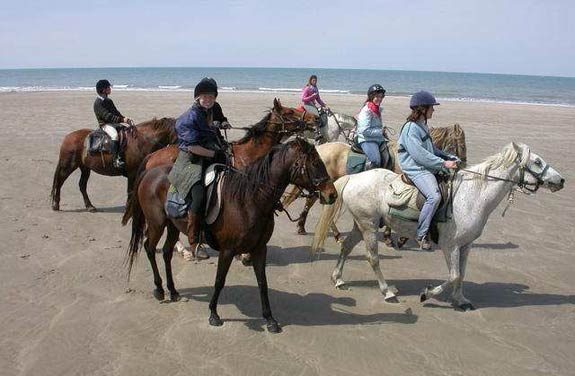 weekend cheval initiation gironde | Destinations Cheval