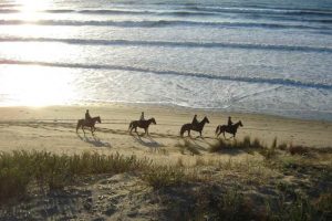 Week end cheval et initiation en Gironde