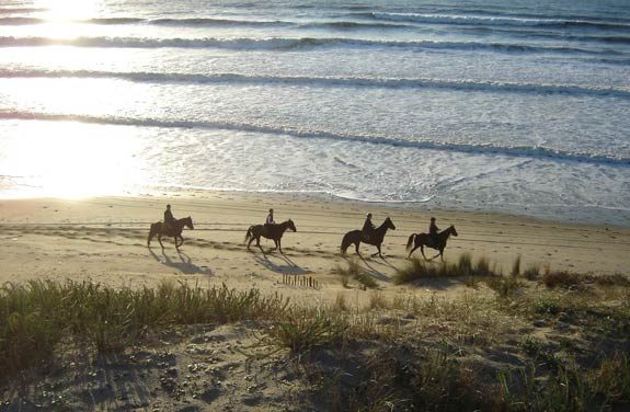 weekend cheval initiation gironde | Destinations Cheval