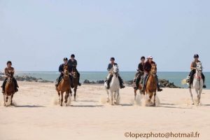 Weekend balade à cheval en Médoc