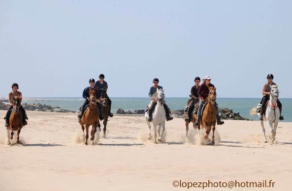 weekend cheval medoc | Destinations Cheval