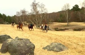 weekend equestre fontainebleau | destinations cheval