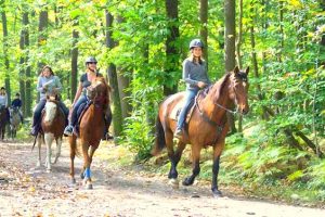 Initiation cheval dans le Vexin