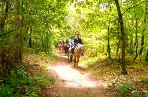 stage initiation cheval sarthe