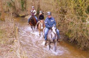 stage initiation cheval sarthe