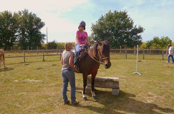 stage initiation cheval sarthe