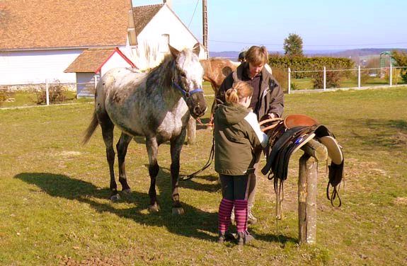 stage initiation cheval sarthe