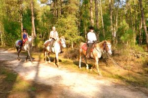 Stage d’équitation pour débutant dans la Sarthe