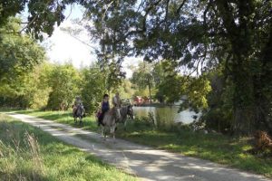 Randonnée à cheval dans la Sarthe