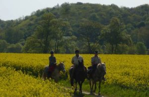 randonnee cheval sarthe