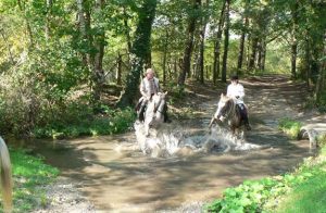 randonnee cheval sarthe