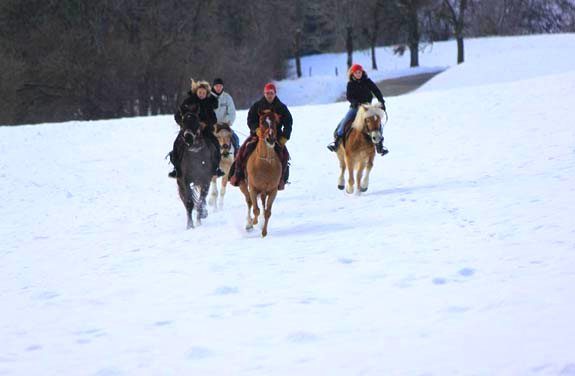 randonnee equestre en savoie | destinations cheval