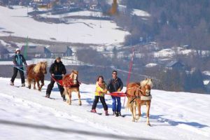 Week-end ski-joering et randonnée à cheval en Savoie